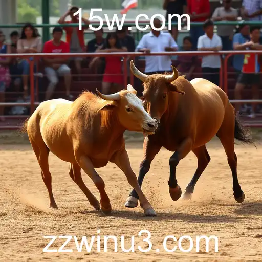 Gaming Experience zzwin - 800+ Premium and Exclusive Games